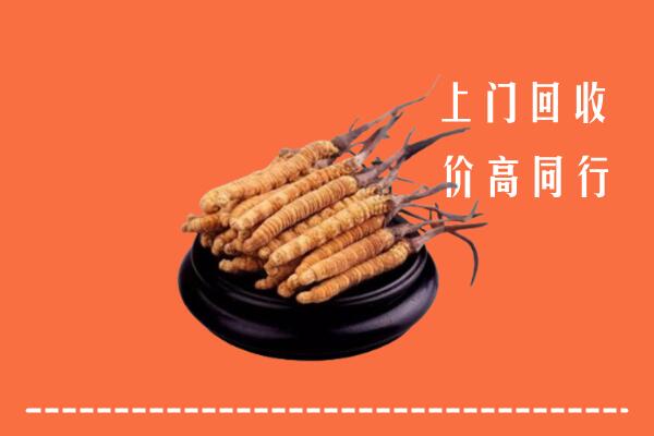 高价求购：贵阳市回收散虫草