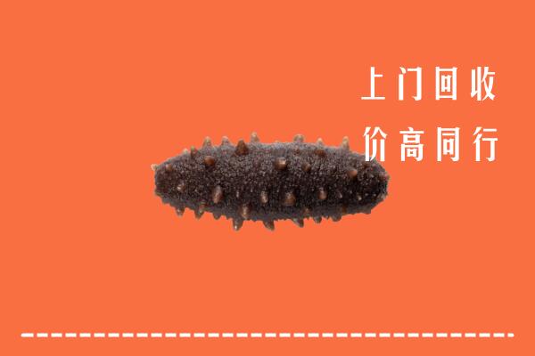 高价求购：贵阳市回收海参