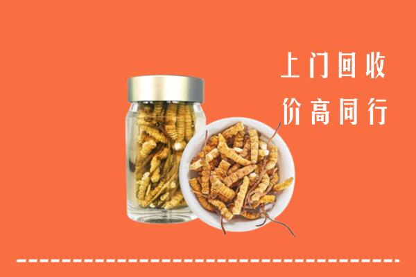 贵阳市高价回收冬虫夏草